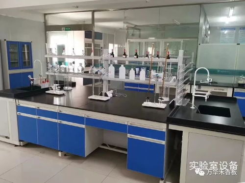 學(xué)習(xí)專業(yè)技能，提升服務(wù)水平，助力客戶2020再創(chuàng)新高